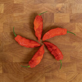 Red Bhut Jolokia (Ghost), Pepper Seeds